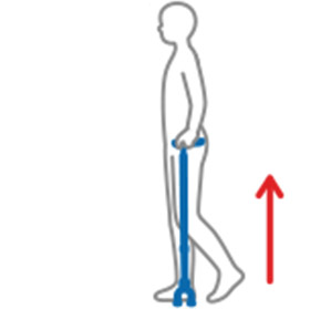 杖を垂直についているときは、荷重を支持する方向に働きます。
