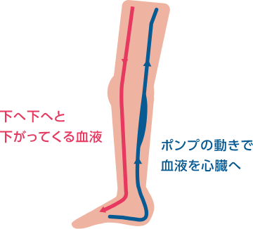 ふくらはぎに刺激を_04