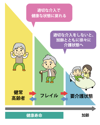 フレイルとは 健常（けんじょう）高齢者がフレイルとなっても適切な介入で健康な状態にもどれる。しかし、フレイルとなった高齢者は適切な介入をしないと、加齢（かれい）とともに徐々に介護状態となる