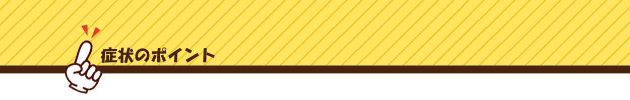 症状のポイント