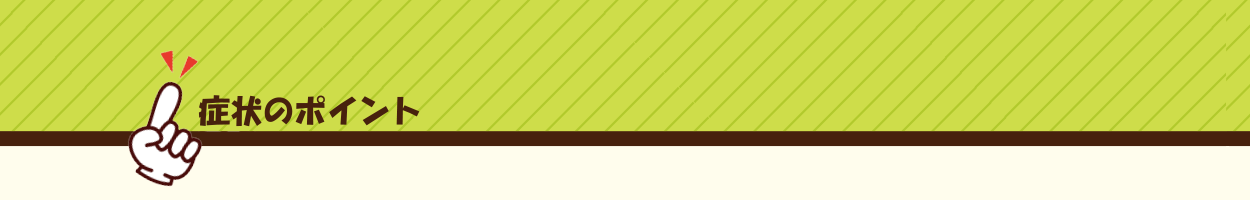 症状のポイント