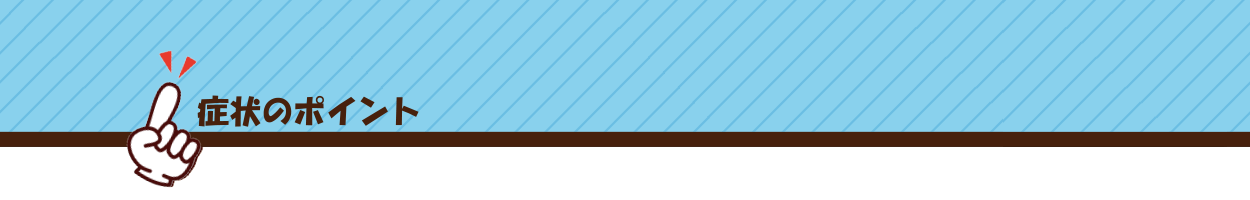 症状のポイント