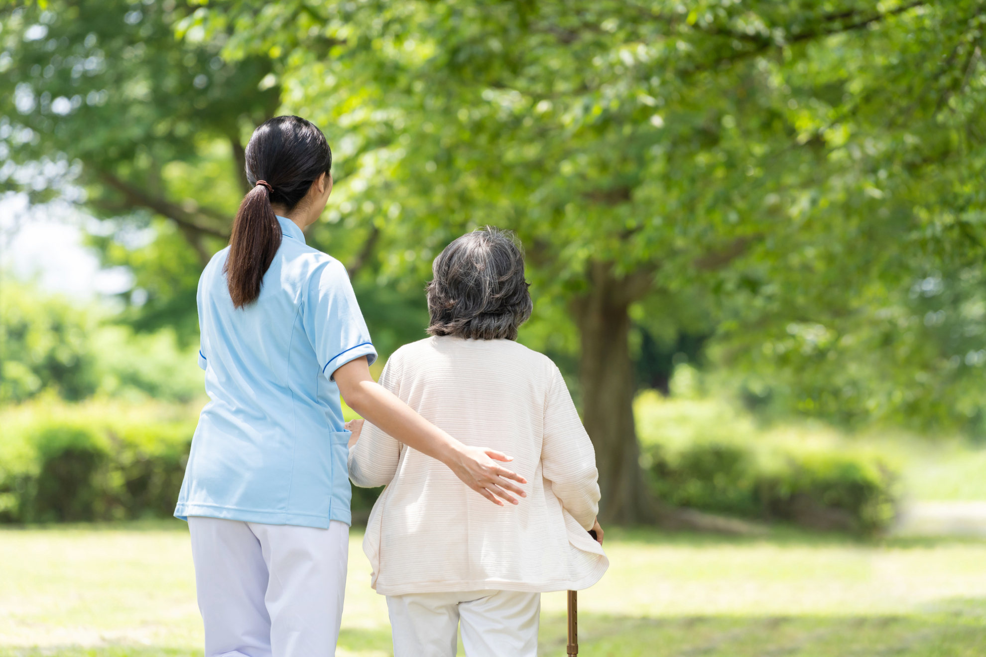 とは？年齢による低下を防ぎ、太りにくい体をつくる方法介護用車椅子のおもな種類と特徴早老症（ウェルナー症候群）によって表れる症状