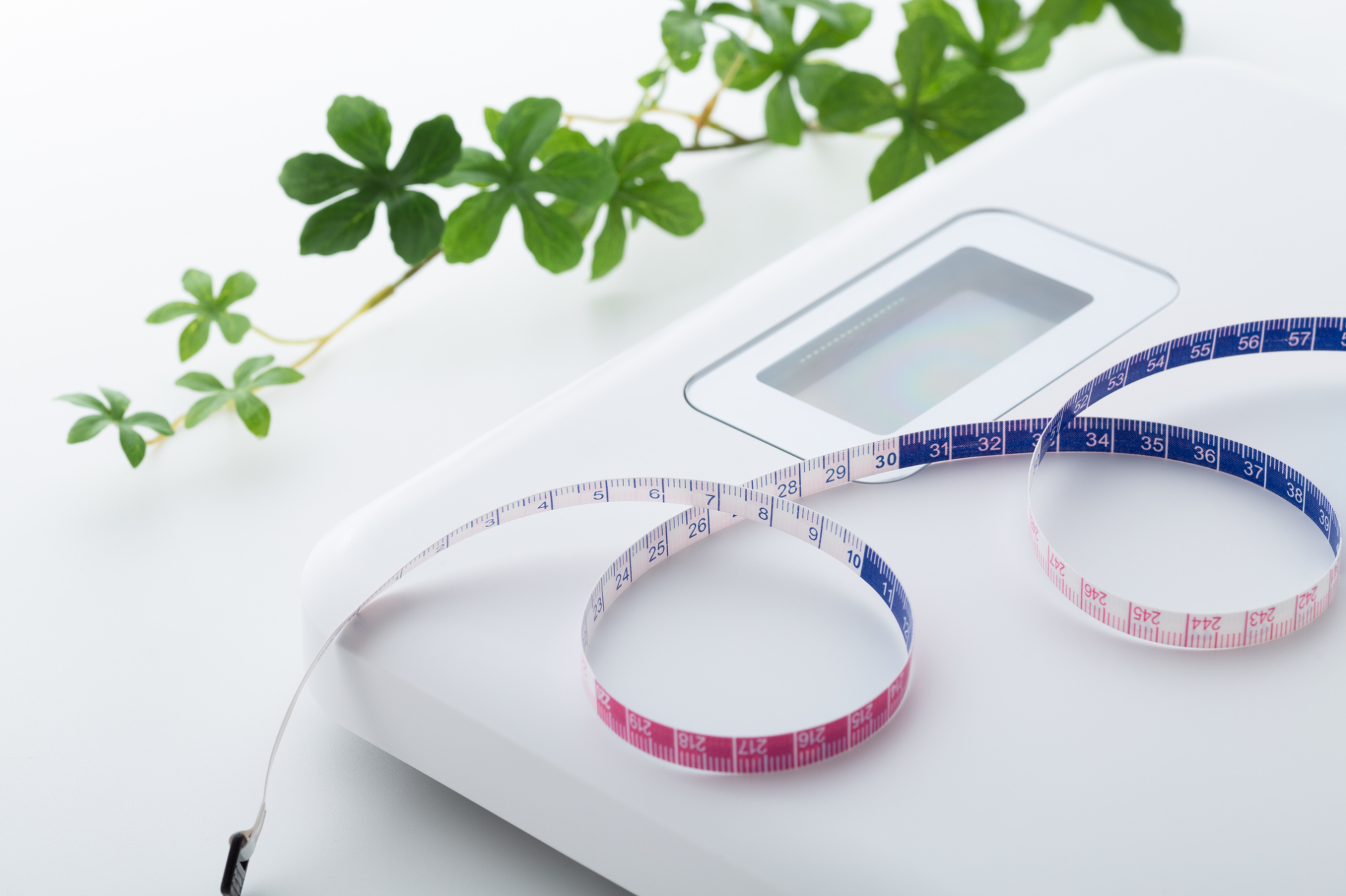 基礎代謝を上げるメリット