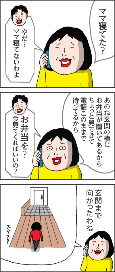 ママ寝てた?やだ~ママ寝てないわよあのね玄関の横にお弁当が置いてあるからちょっと見てきて電話このままで待ってるからお弁当を?今見てくればいいの?玄関まで向かったわねスタスタ