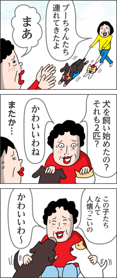 また会いに来てね さびしーおばあちゃんちまで散歩に行くよプーちゃんたち連れてきたよまあ犬を飼い始めたの?それも2匹? かわいいわねまたか…この子たちなんて人懐っこいの かわいいわ~