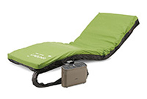 スモールチェンジラグーナ