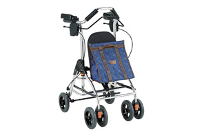 テイコブリトル F/RF